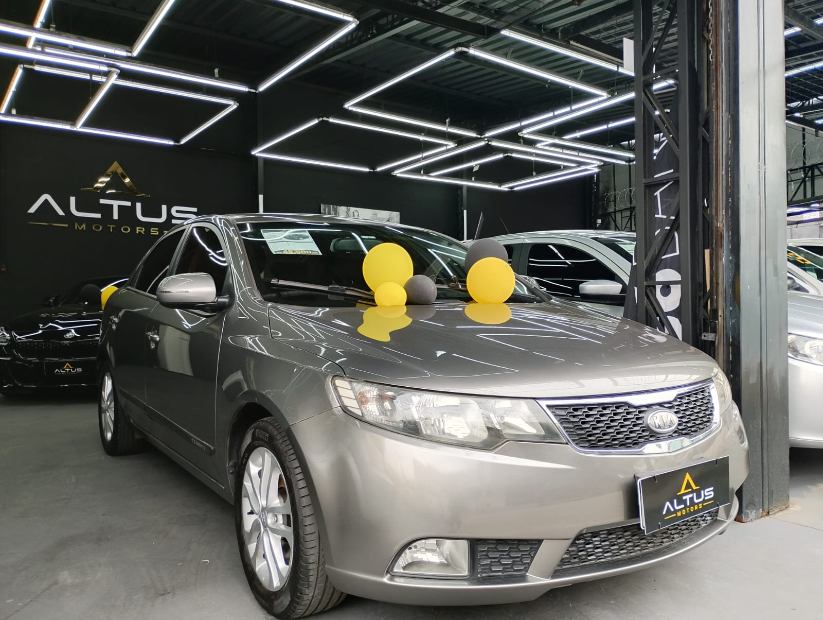 Cerato